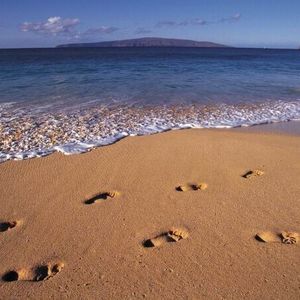 Meet your Posher, Mona